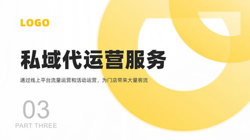 軟件運(yùn)營服務(wù)公司產(chǎn)品介紹PPT模板